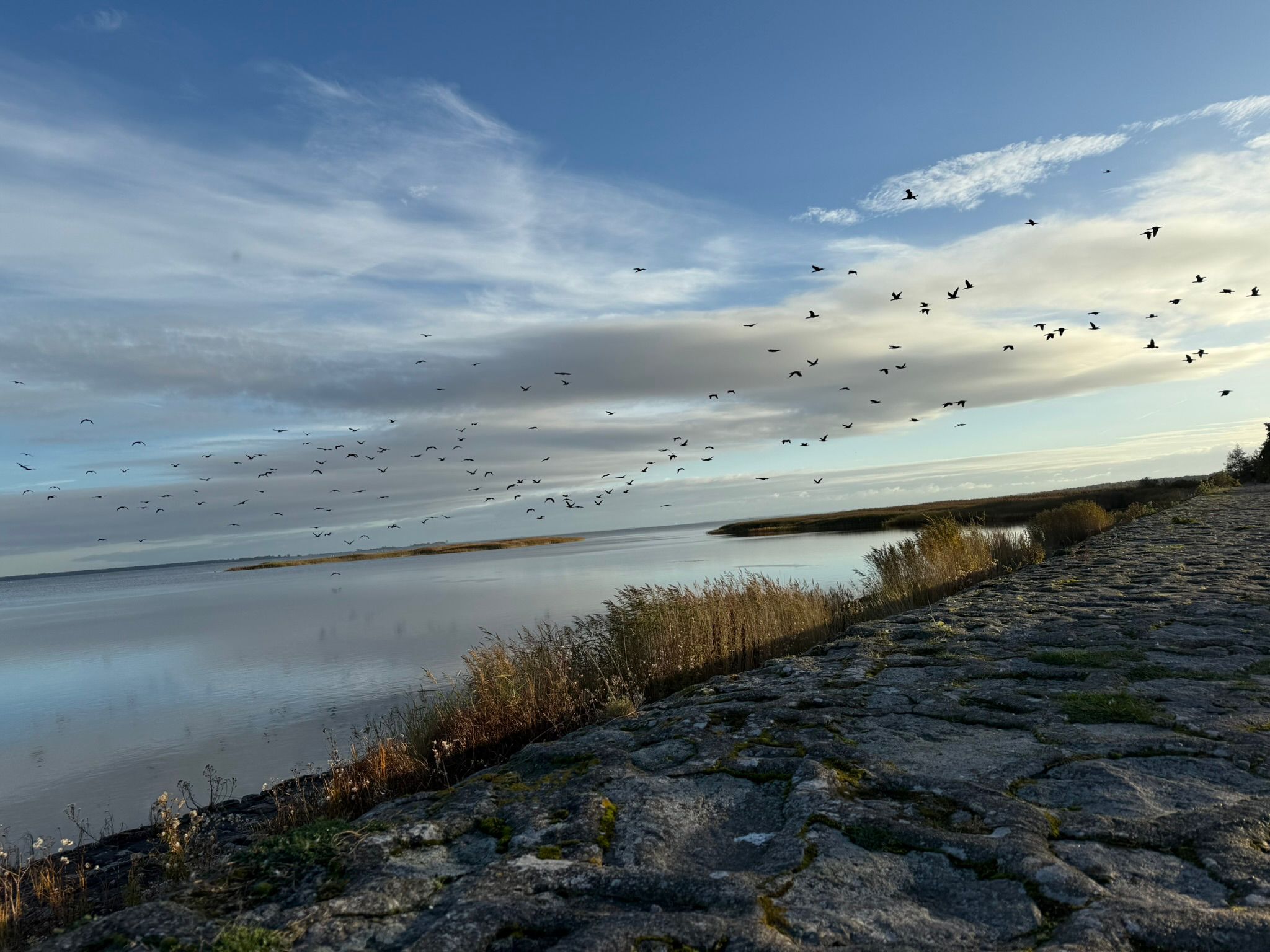 Bodden